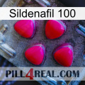 Sildenafil 100 13